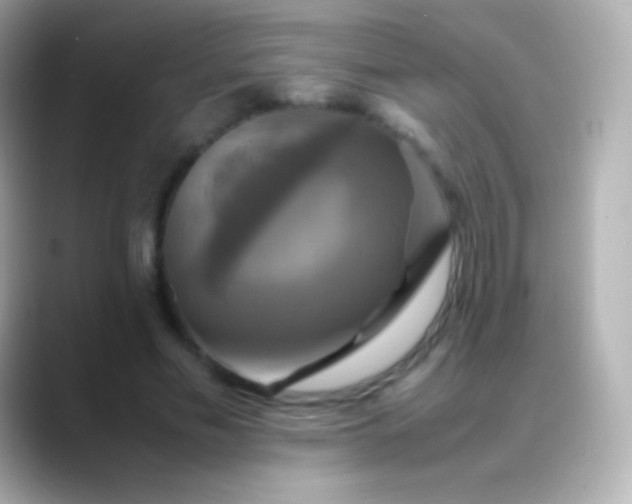 X0000088480589200706051402