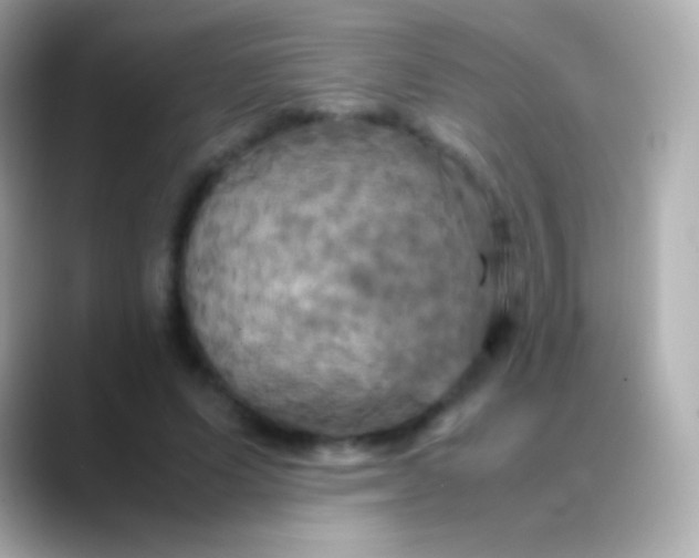 X0000088480591200706051402