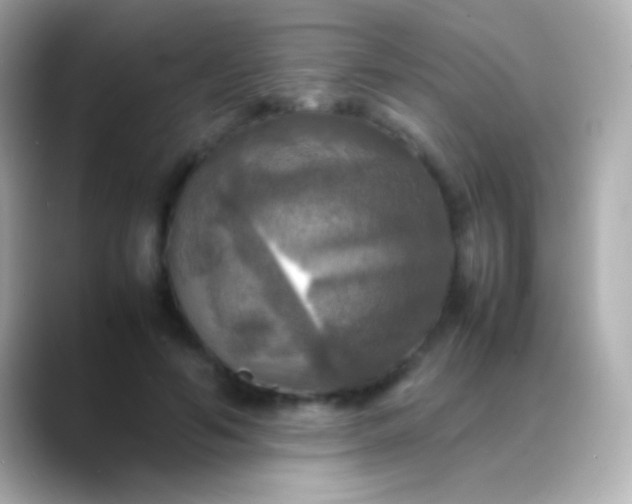 X0000088480594200706051402