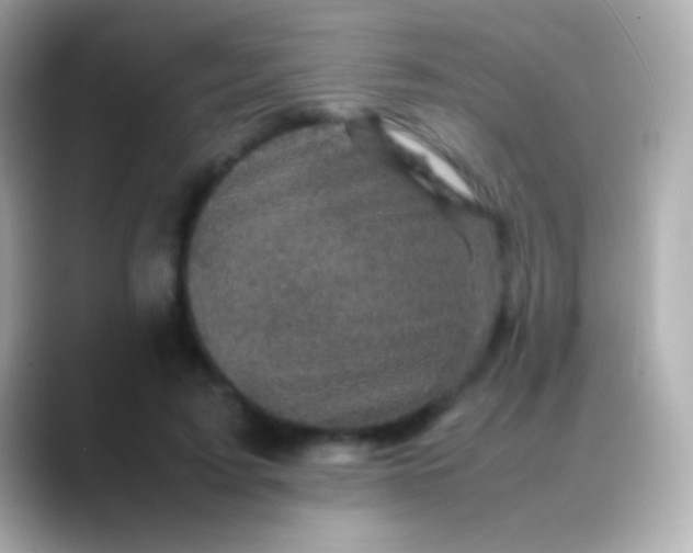 X0000088480595200706051402