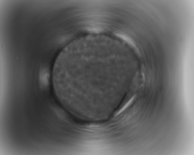 X0000088480596200706051402