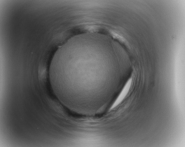 X0000088480597200706051402