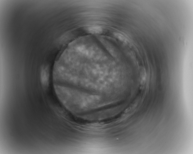 X0000088480600200706051402