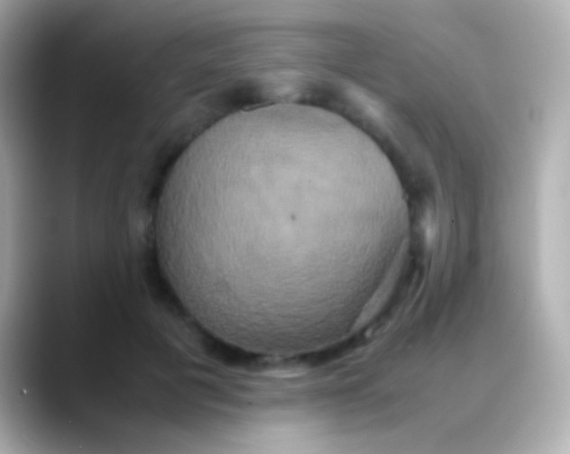 X0000088480601200706051402