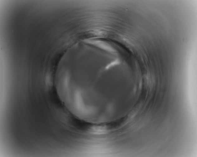 X0000088480606200706051401
