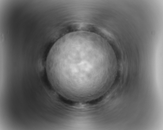 X0000088480607200706051401