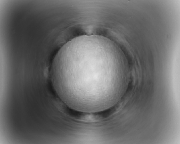 X0000088480611200706051401