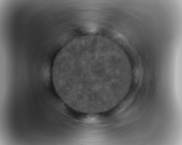 X0000088480612200706051401