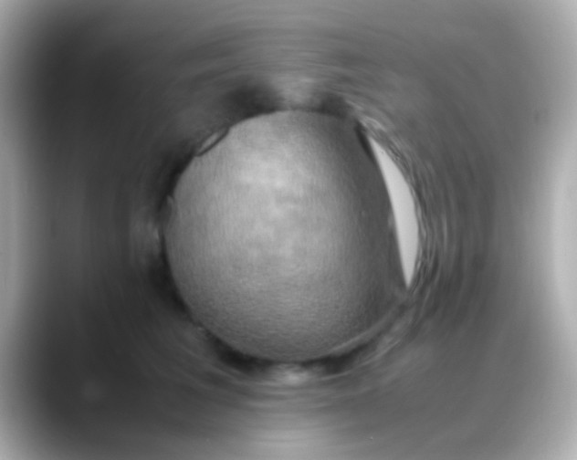 X0000088480613200706051401