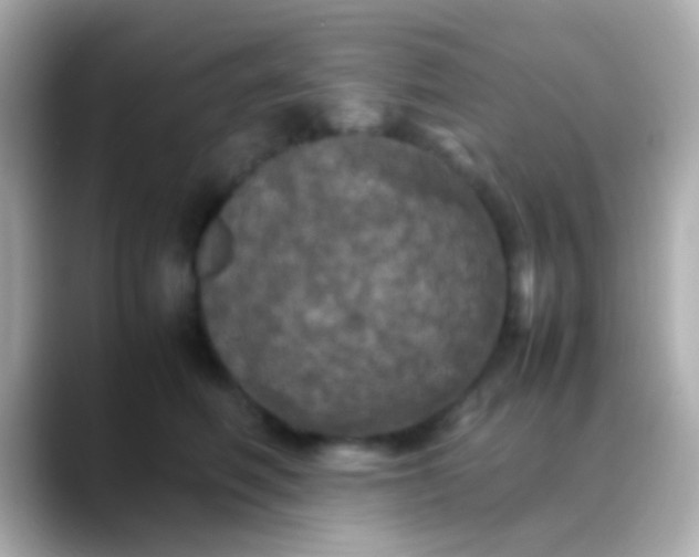 X0000088480614200706051401