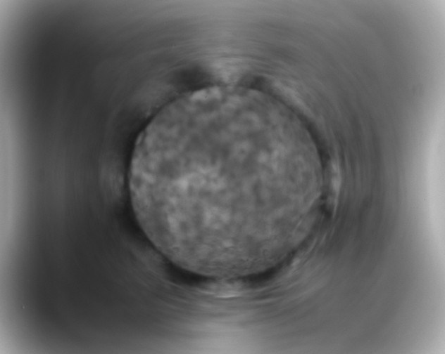 X0000088480615200706051401