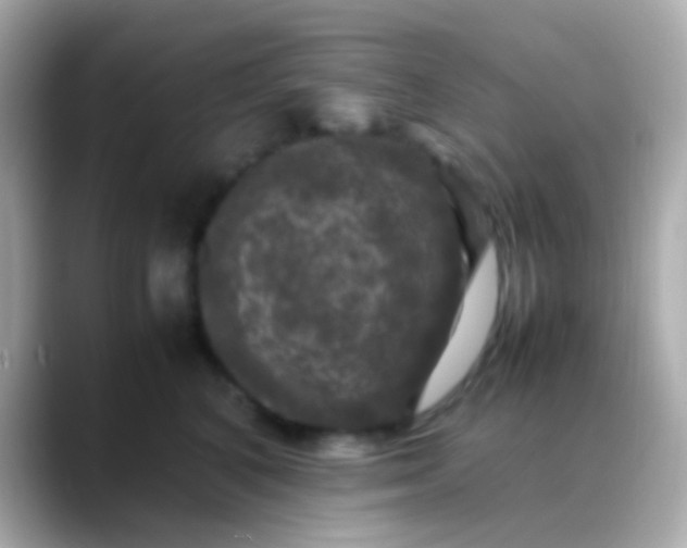 X0000088480616200706051401