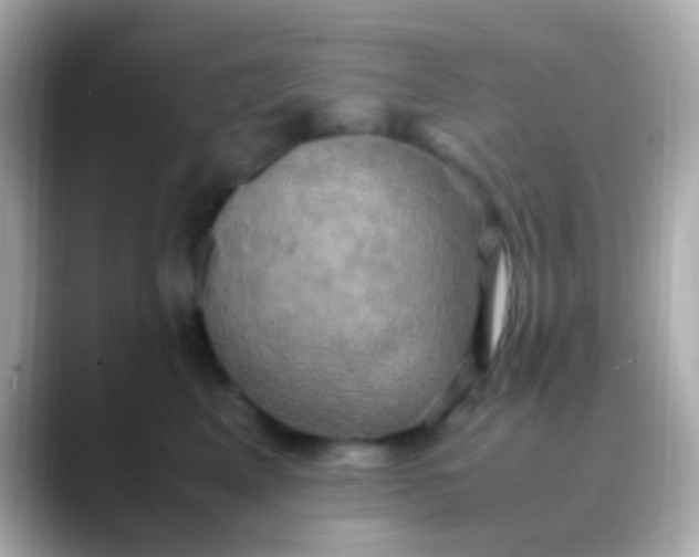 X0000088480617200706051401