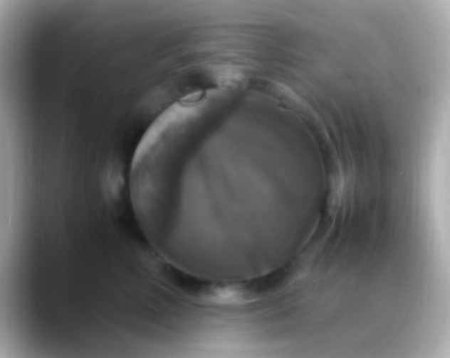X0000088480618200706051401