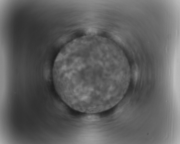 X0000088480619200706051401