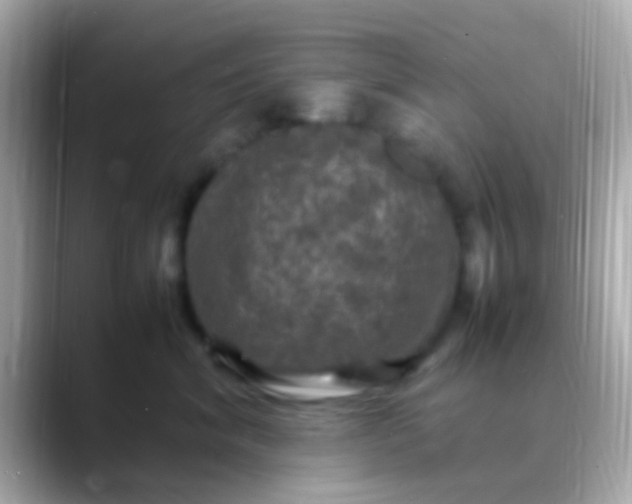X0000088480620200706051401