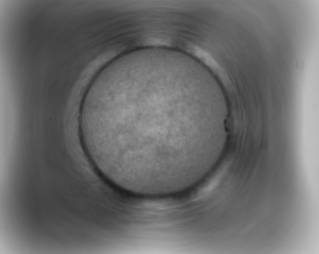 X0000088480625200706051401
