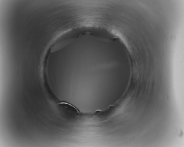 X0000088480626200706051401