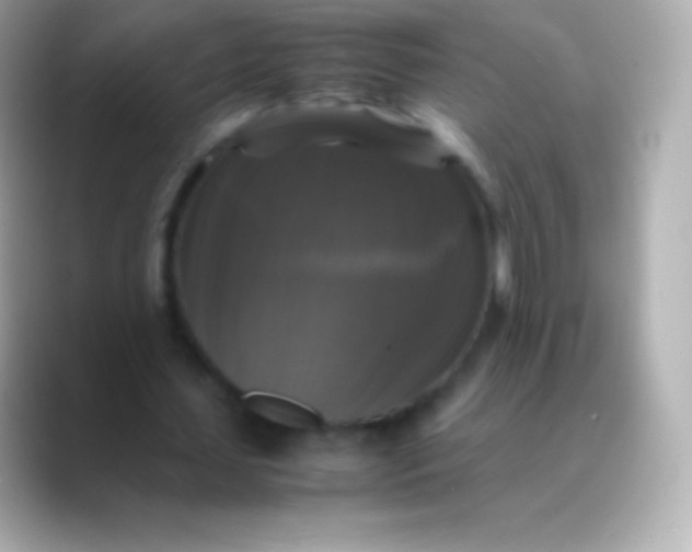 X0000088480627200706051401