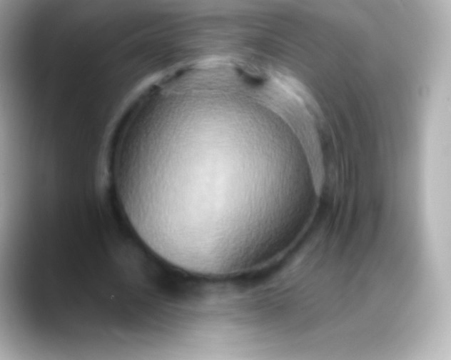 X0000088480628200706051401