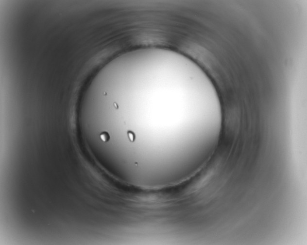 X0000088480629200706051401