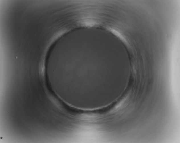 X0000088480630200706051401
