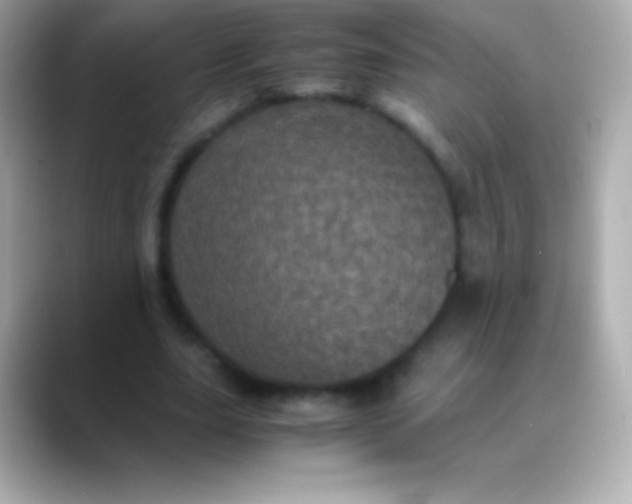 X0000088480631200706051401
