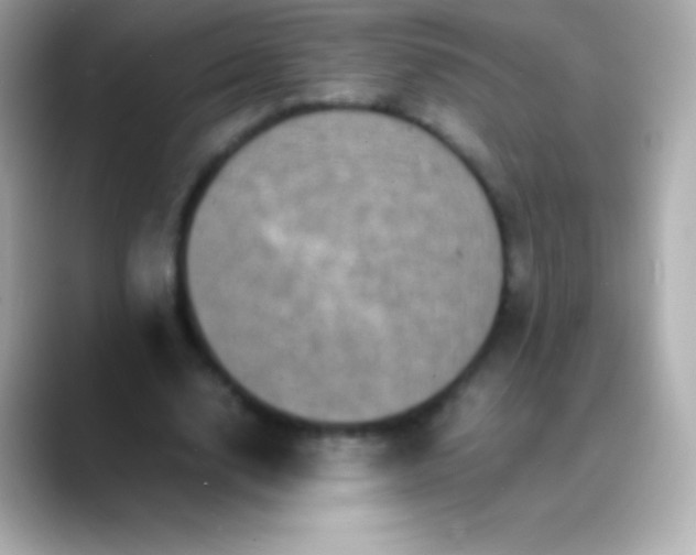 X0000088480632200706051401