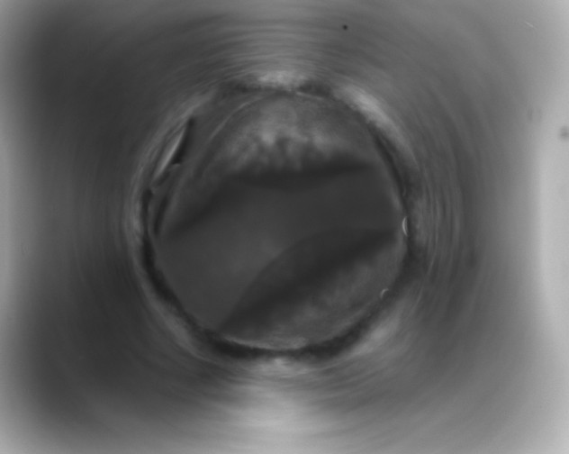X0000088480634200706051401