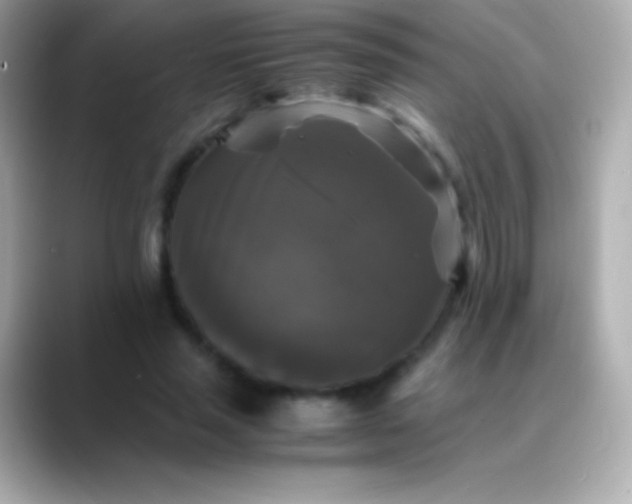 X0000088480637200706051401