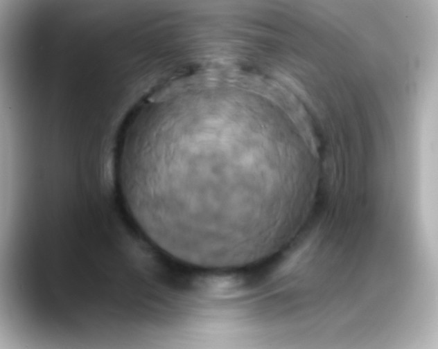 X0000088480638200706051401