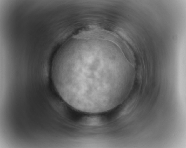 X0000088480639200706051401