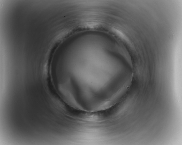 X0000088480640200706051401