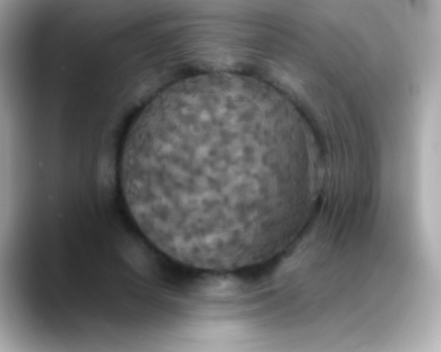 X0000088480642200706051401