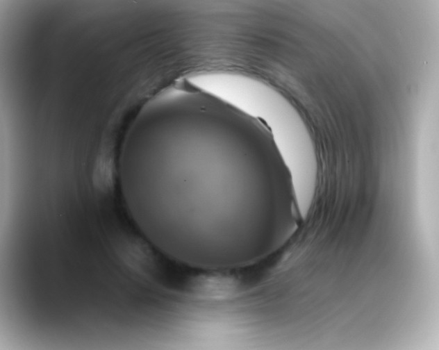X0000088480644200706051401