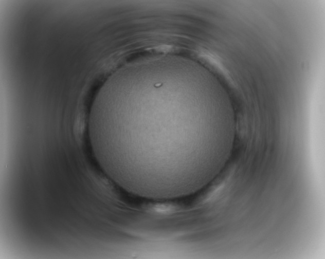 X0000088480645200706051401