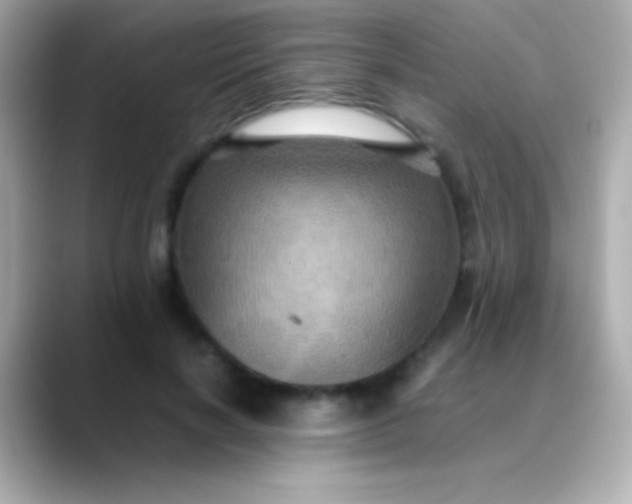 X0000088480646200706051401