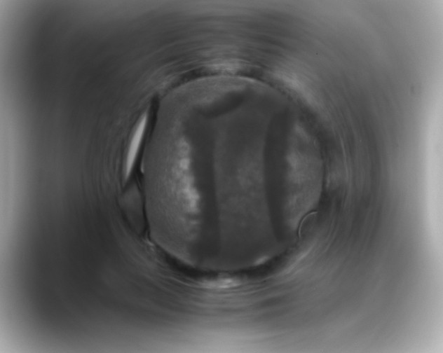 X0000088480647200706051401