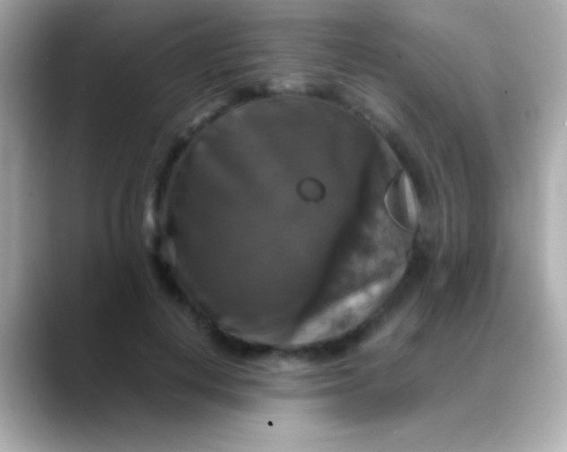 X0000088480648200706051401