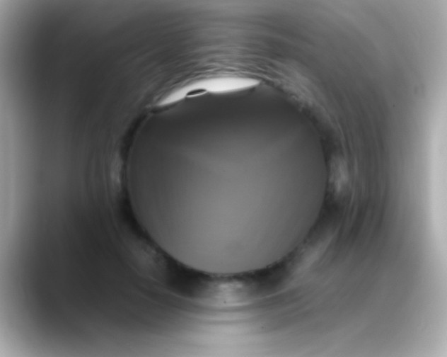 X0000088480650200706051401