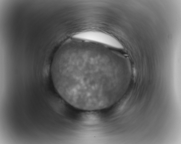 X0000088480652200706051401