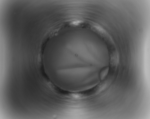 X0000088480654200706051401