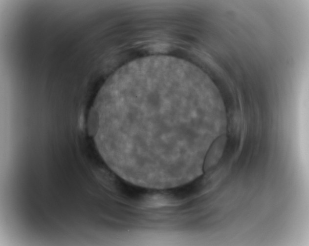 X0000088480655200706051401