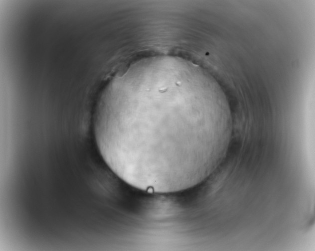 X0000088480656200706051401