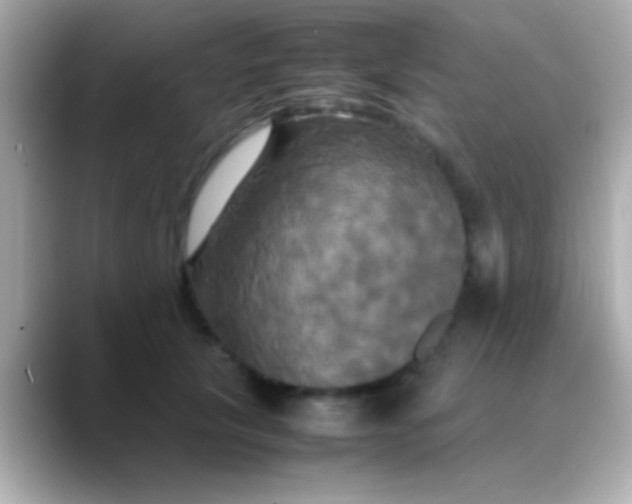 X0000088480657200706051401