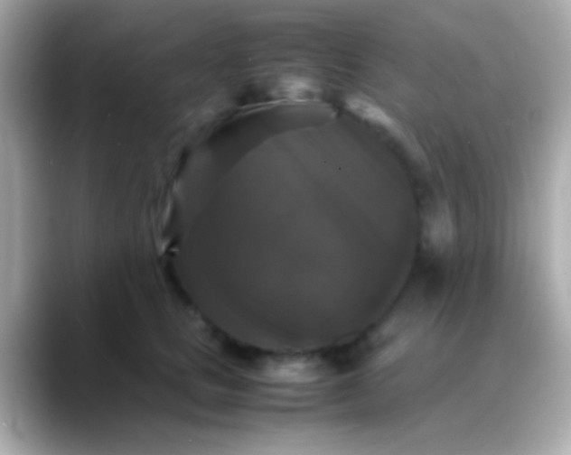 X0000088480661200706051401