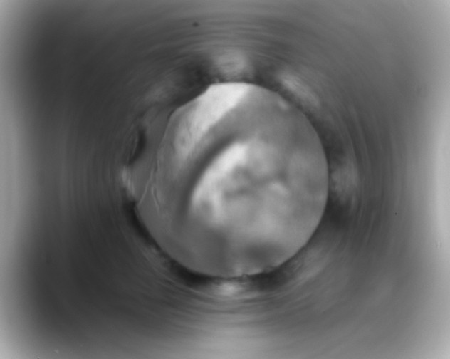 X0000088480662200706051401