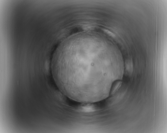 X0000088480667200706051401