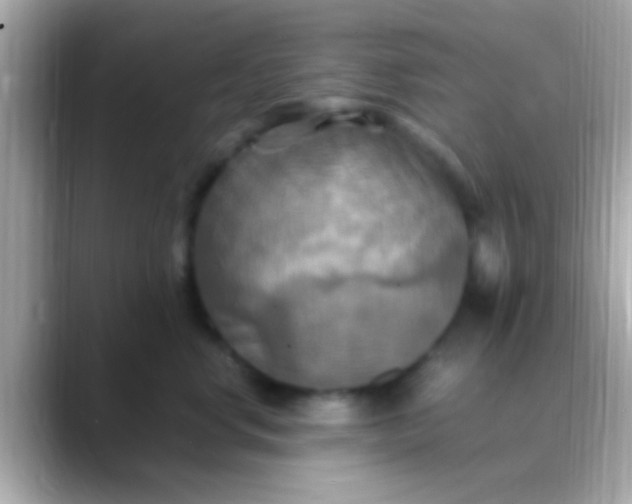 X0000088480668200706051401