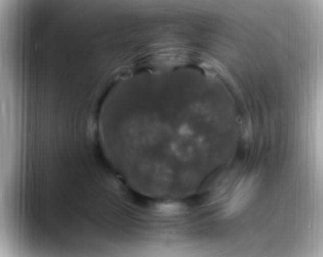 X0000088480669200706051401